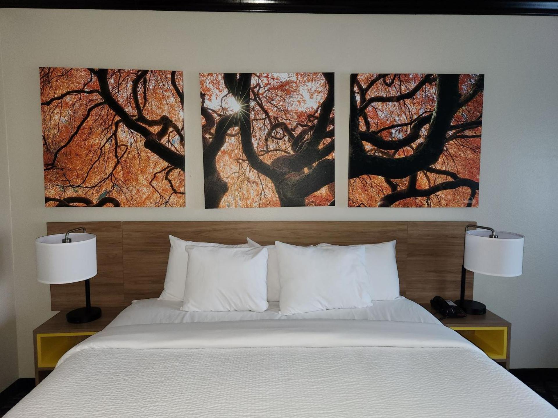 Days Inn By Wyndham Baton Rouge I-10 Prairieville エクステリア 写真
