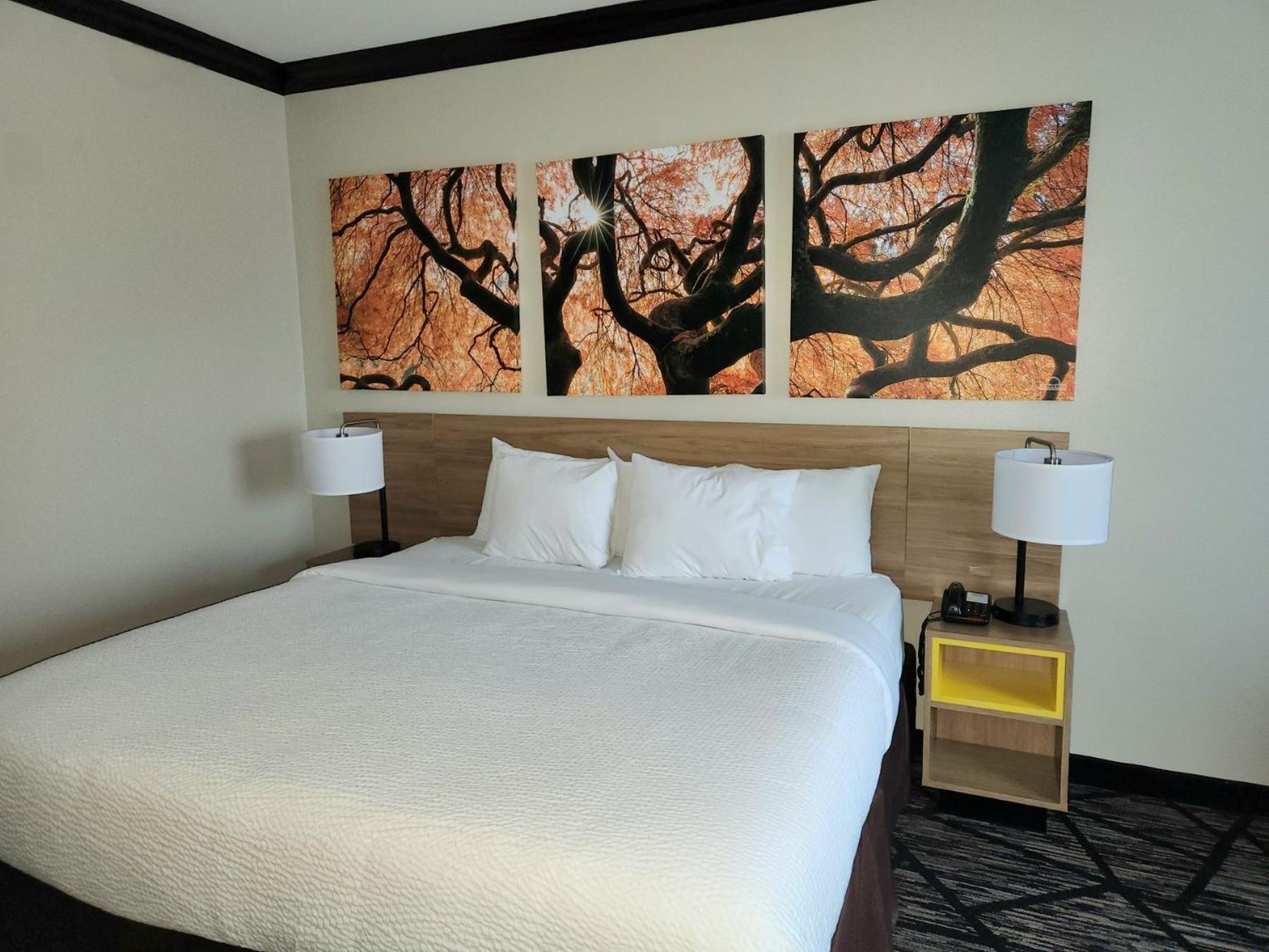 Days Inn By Wyndham Baton Rouge I-10 Prairieville エクステリア 写真